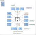 Diagnosis-v2.0Model(2024EN).png