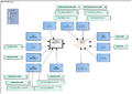 AllergyIntolerance-v4.0Model(2022EN).png
