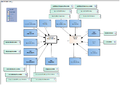 AllergieIntolerantie-v3.2Model(NL).png