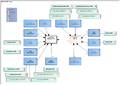 AllergyIntolerance-v3.2Model(EN).png